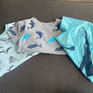 Set of 3 Toddler Shirts